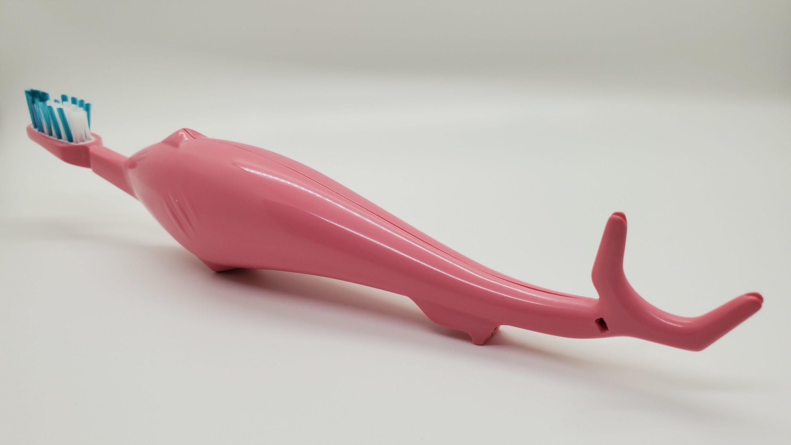 SharkBROSSE – Image 2