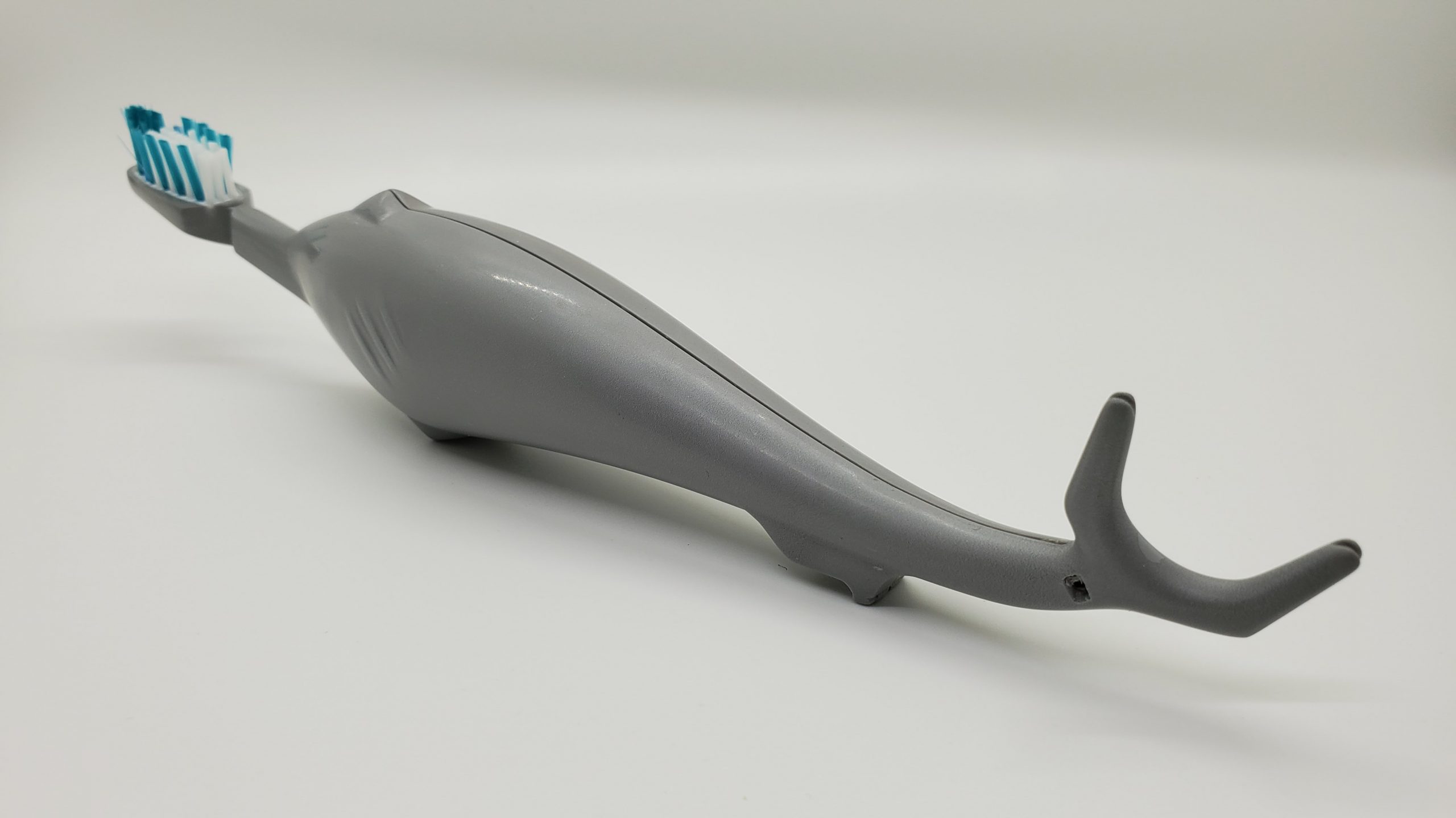 SharkBROSSE – Image 4