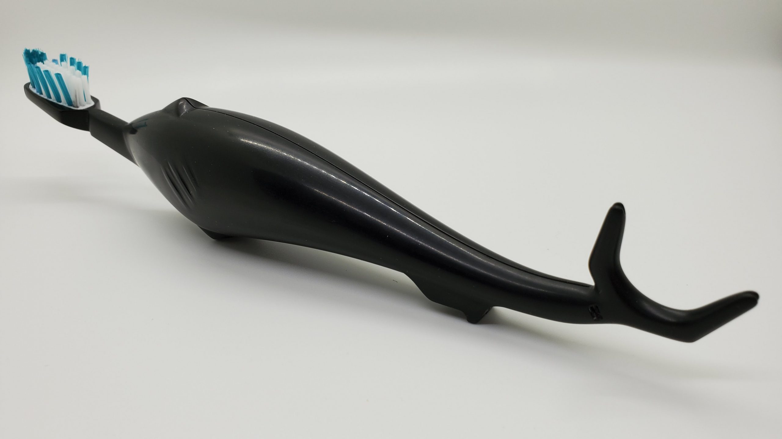 SharkBROSSE