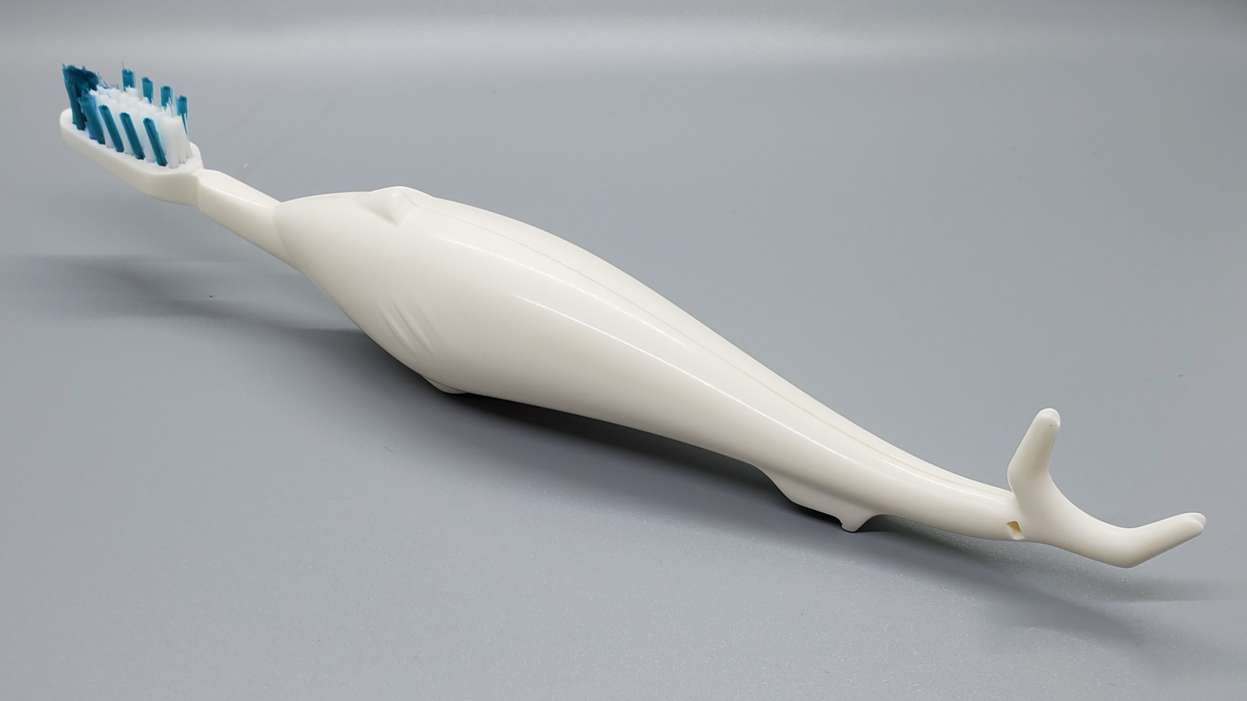 SharkBROSSE – Image 3